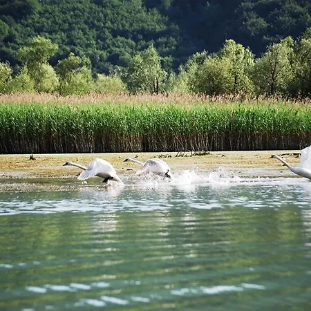 Hotel Royal Drina