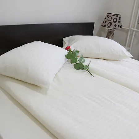 Royal Drina Hotel Mali Zvornik
